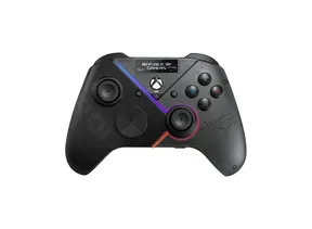 P1 Input