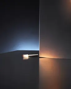 Step 600 · α1