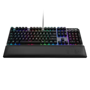 P1 Input